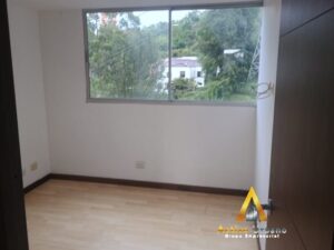 foto_104782_901271444_1546552566_ss