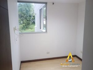 foto_104782_901271444_1565571051_ss