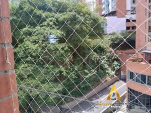 foto_104782_901271444_2485373389_ss