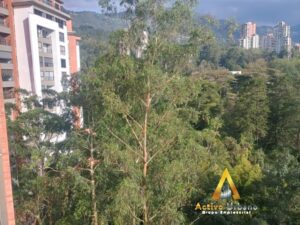 foto_104782_901271444_2740090946_ss