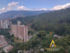 foto_104782_901271444_3924025513_ss