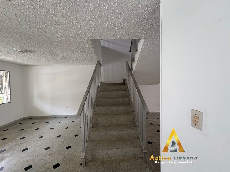 foto_104782_901271444_5419065920_ss