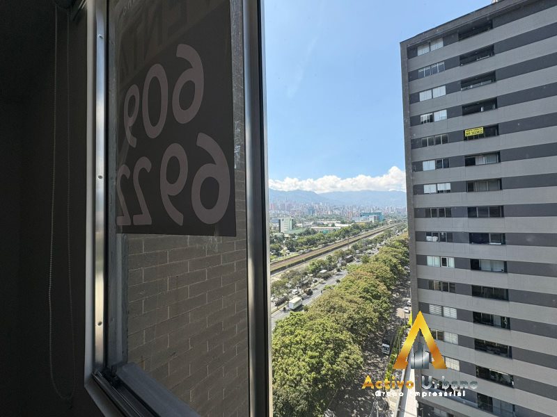 foto_104782_901271444_5657482708_ss