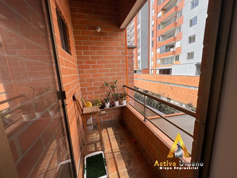 foto_104782_901271444_5661345783_ss