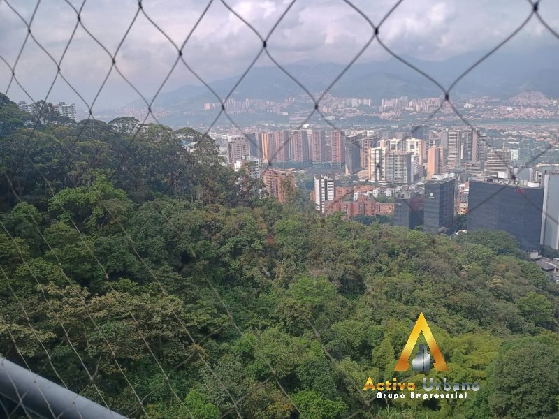 foto_104782_901271444_6087585822_ss