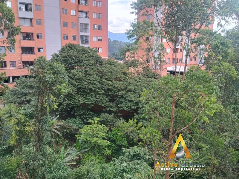 foto_104782_901271444_8347814906_ss