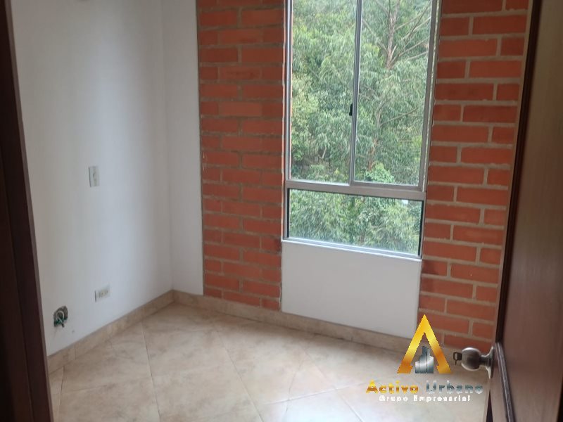 foto_104782_901271444_8375704453_ss