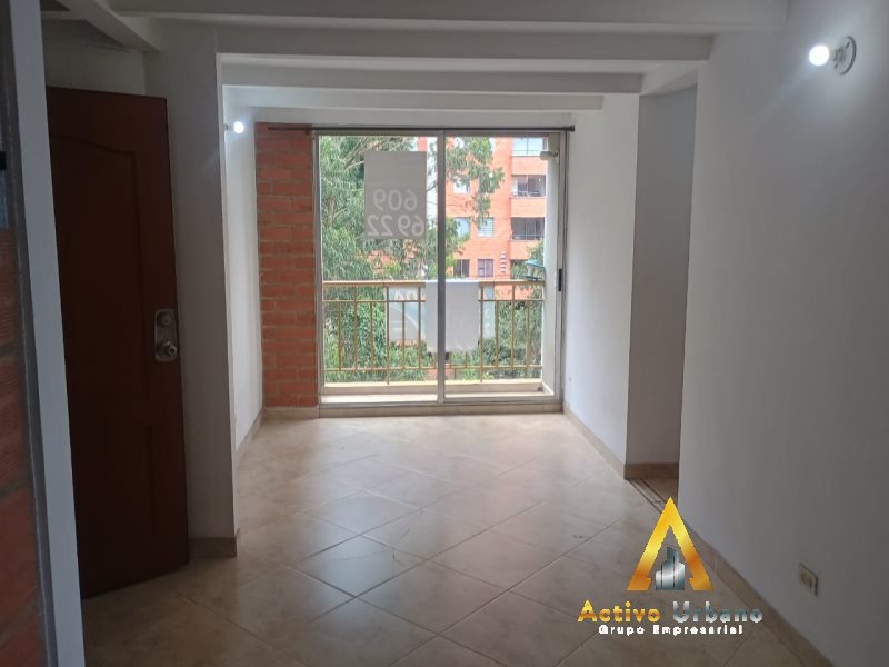 foto_104782_901271444_8408283020_ss