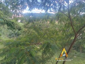 foto_104782_901271444_8838427919_ss