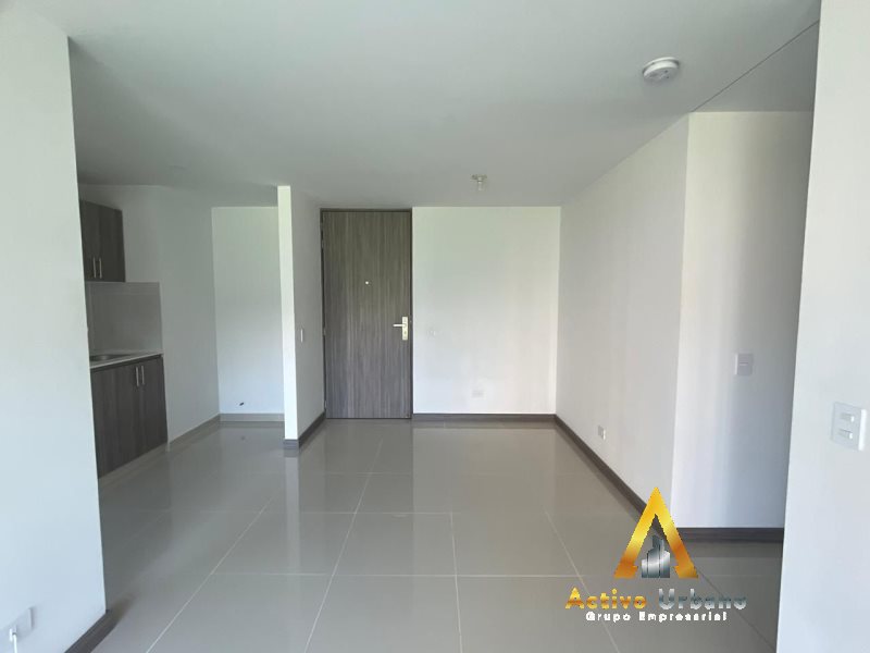 foto_104782_901271444_8850538261_ss