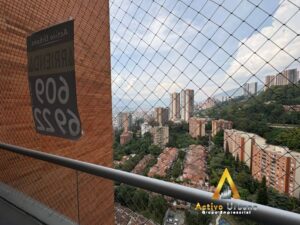 foto_104782_901271444_8908392031_ss