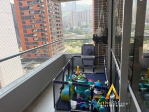 foto_104782_901271444_8993006371_ss