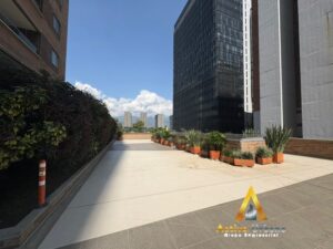 foto_104782_901271444_9110621474_ss