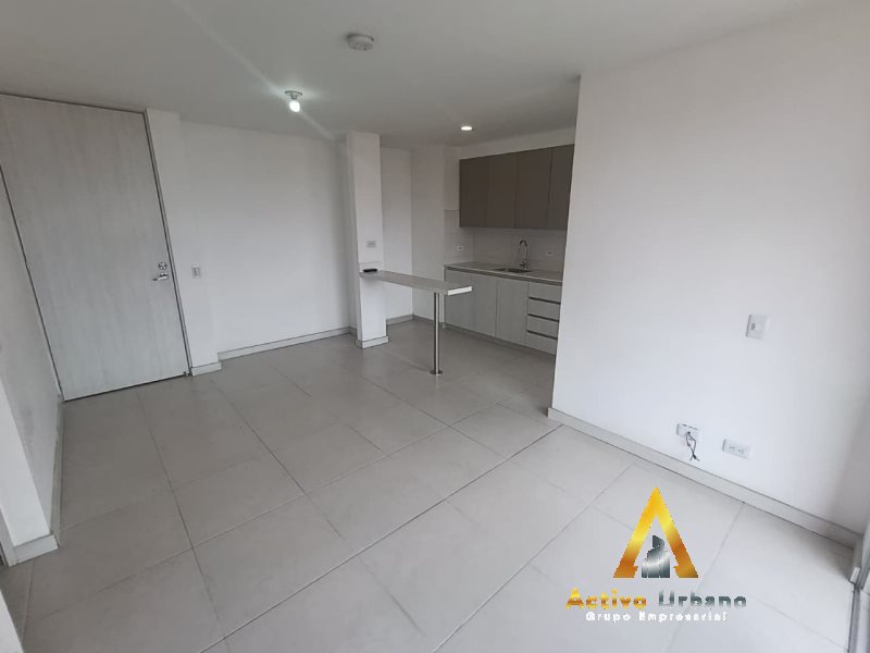 foto_104782_901271444_9500754243_ss