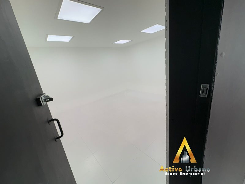 foto_104782_901271444_9941728805_ss