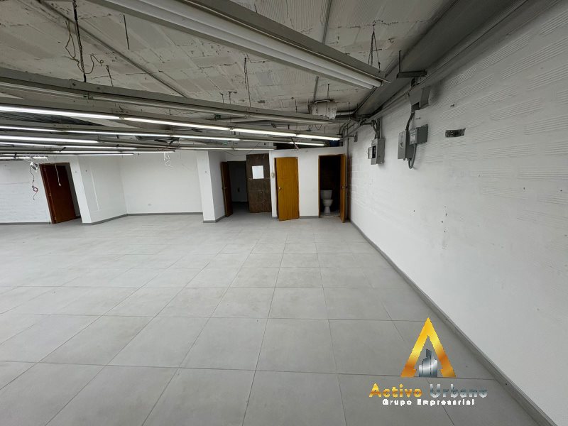 foto_104782_901271444_9941837234_ss