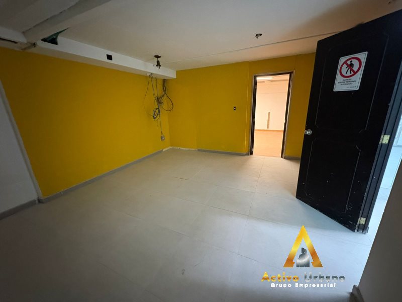 foto_104782_901271444_9989496655_ss