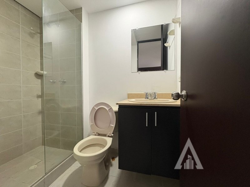 foto_104782_901271444_1272114762_ss