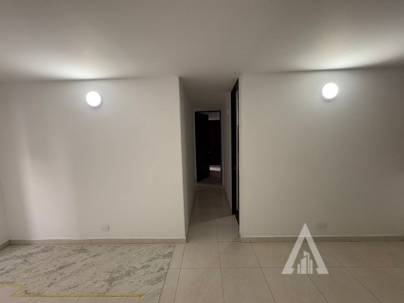 foto_104782_901271444_1321202541_ss