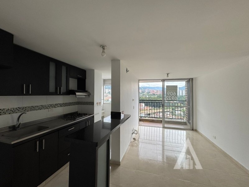 foto_104782_901271444_2905269055_ss