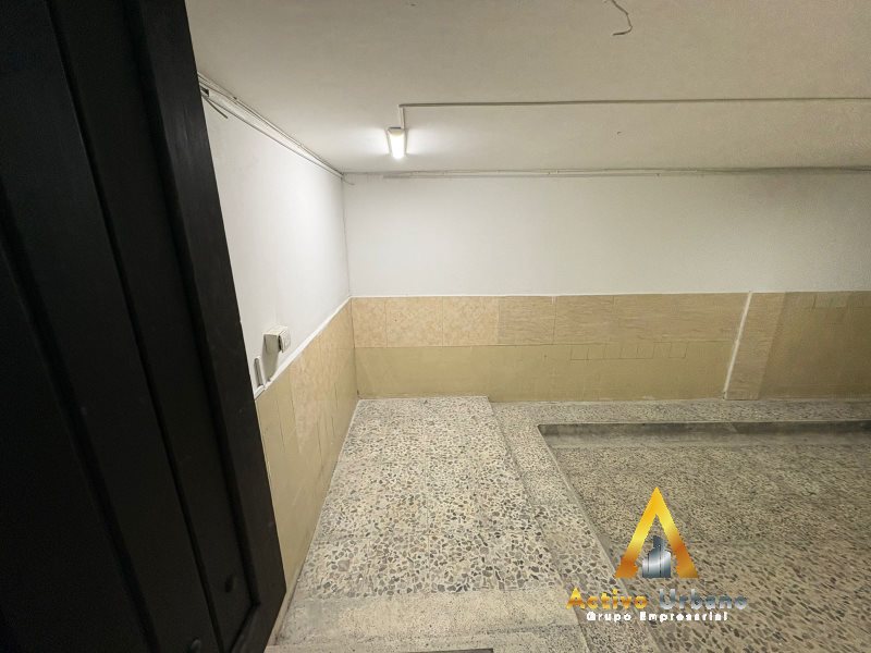 foto_104782_901271444_3050969069_ss