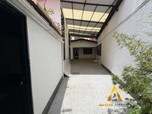 foto_104782_901271444_3051819089_ss