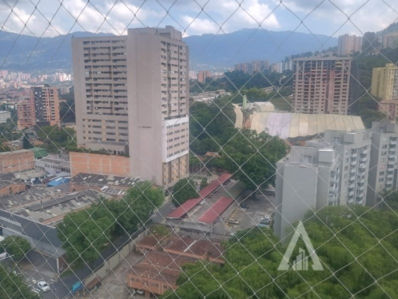 foto_104782_901271444_3243015547_ss