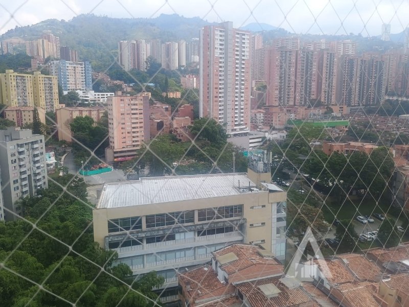 foto_104782_901271444_3243030020_ss