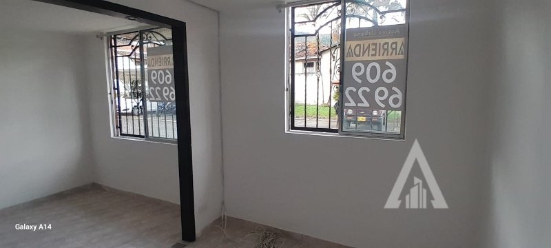 foto_104782_901271444_3443388225_ss