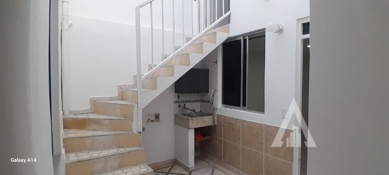 foto_104782_901271444_3491829127_ss