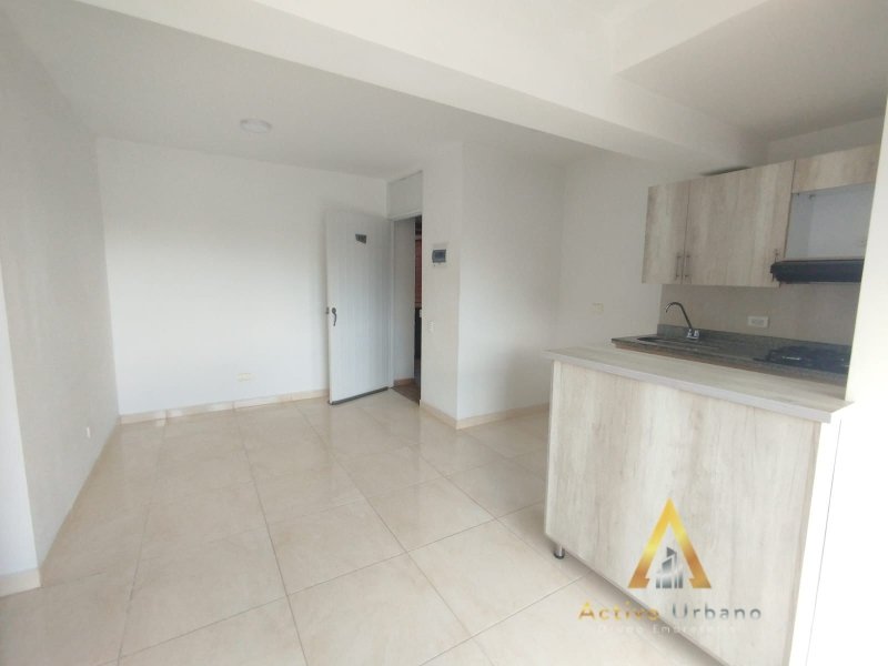 foto_104782_901271444_3504624336_ss