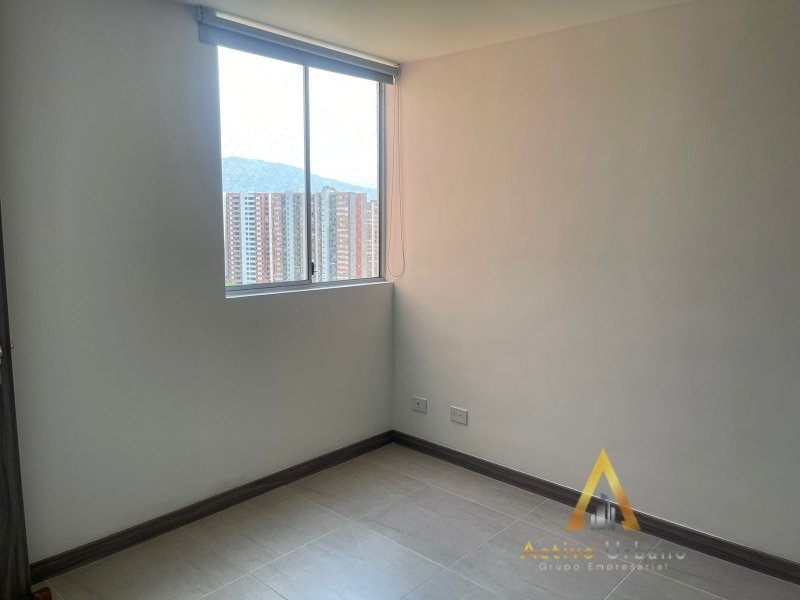 foto_104782_901271444_3823517710_ss