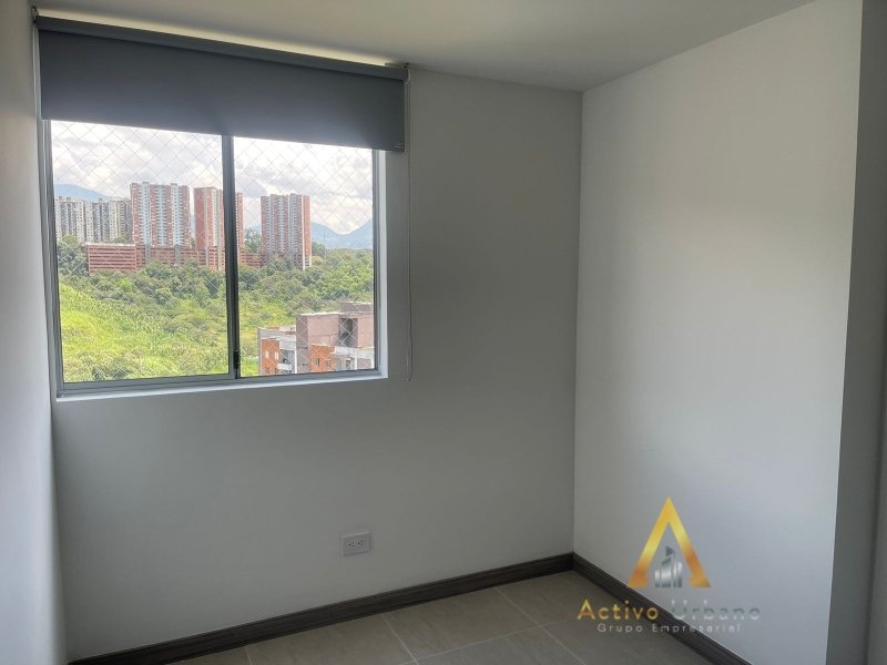 foto_104782_901271444_3823591571_ss