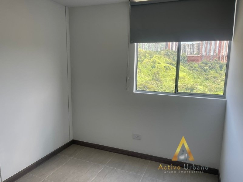 foto_104782_901271444_3849256838_ss