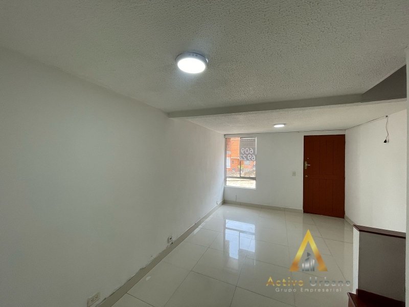 foto_104782_901271444_3851986785_ss