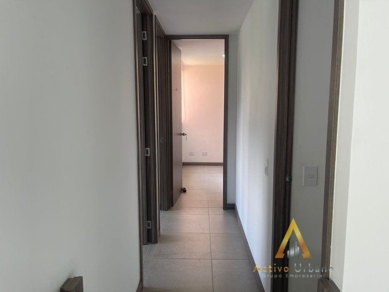 foto_104782_901271444_3877277029_ss