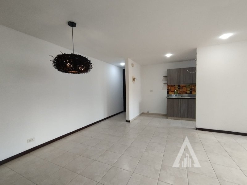 foto_104782_901271444_4776868920_ss