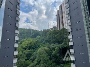 foto_104782_901271444_4960692281_ss