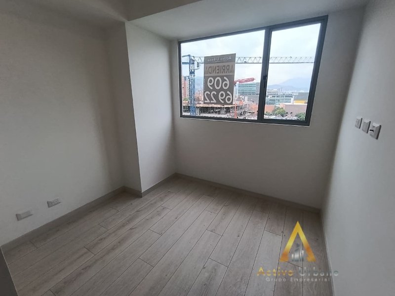 foto_104782_901271444_5629412486_ss