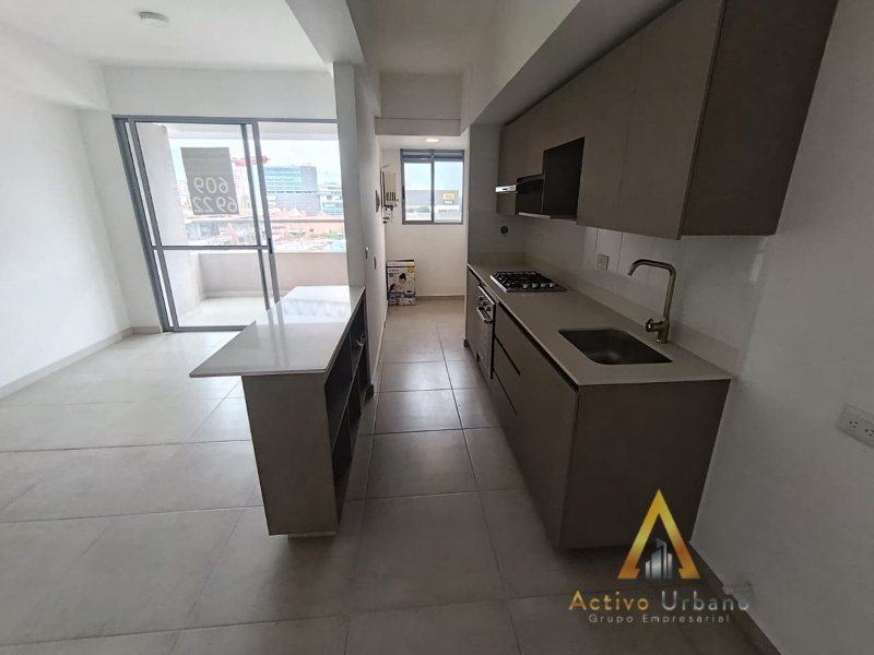 foto_104782_901271444_5729290980_ss