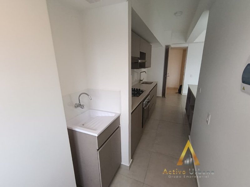 foto_104782_901271444_5738951239_ss