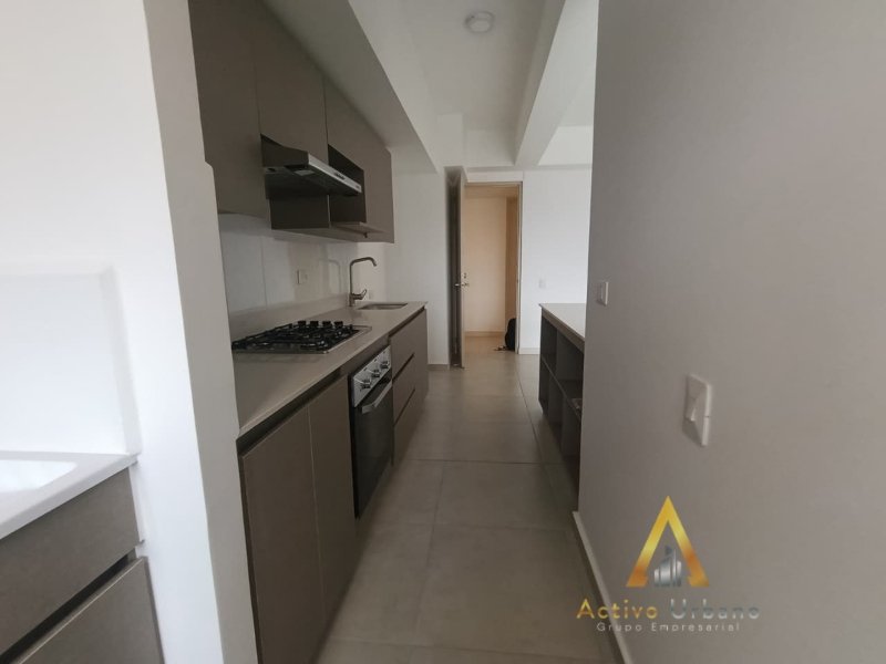 foto_104782_901271444_5752317821_ss