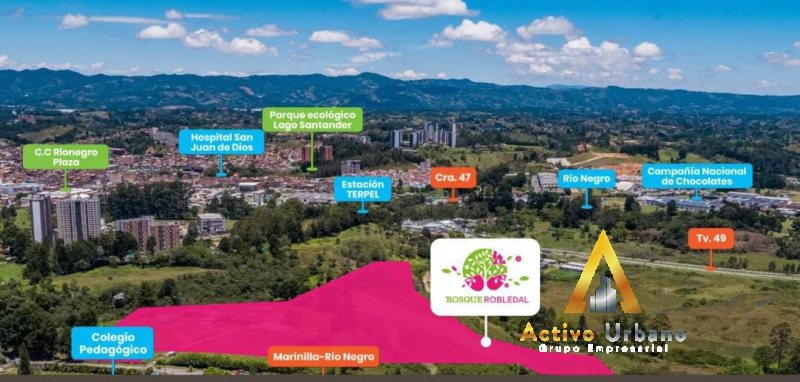 foto_104782_901271444_5880227615_ss