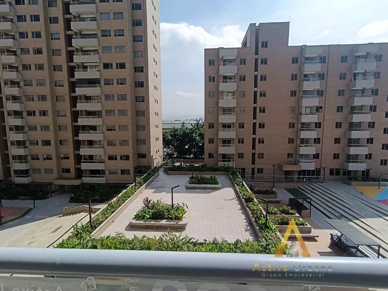 foto_104782_901271444_6154784717_ss