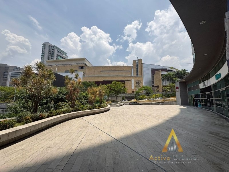 foto_104782_901271444_6279975948_ss