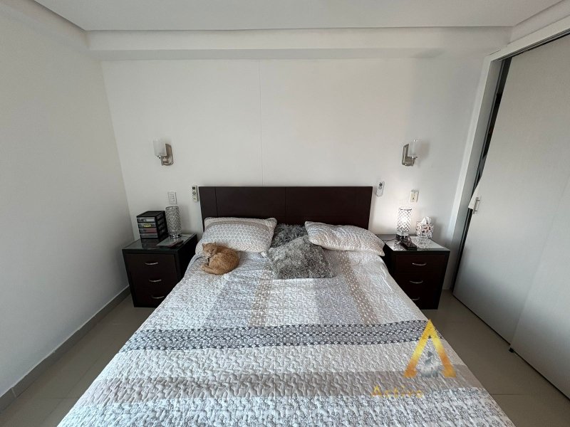 foto_104782_901271444_6328315523_ss