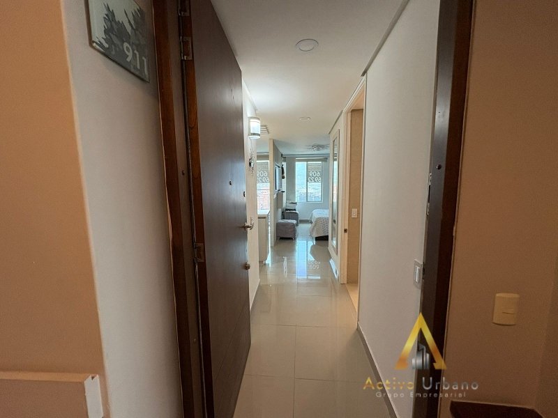 foto_104782_901271444_6431384312_ss