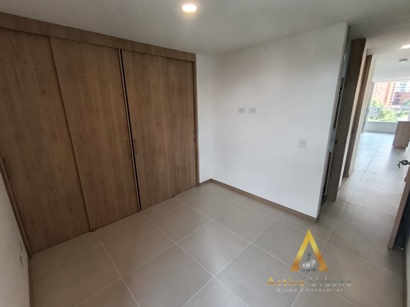 foto_104782_901271444_6797297599_ss