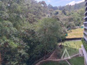 foto_104782_901271444_7279738558_ss