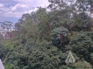 foto_104782_901271444_7279748824_ss